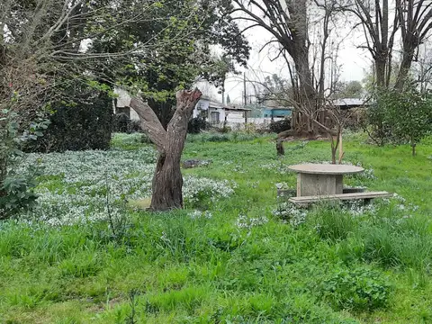 Terreno en Venta en General Madariaga, USD 60.000