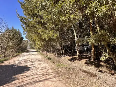 Terreno en Venta de 650,0 m2