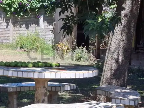 Hectareas en venta con Casa en Arturo Segui   403 y 139- Excelente ubicación. Zo