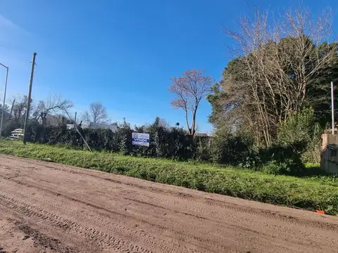 Terreno - Venta - Argentina, Roque Pérez - 9 DE JULIO, AV. 120