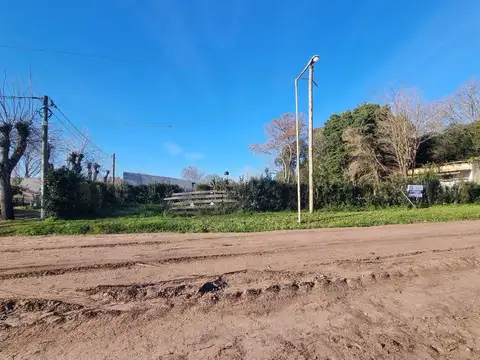 Terreno - Venta - Argentina, Roque Pérez - 9 DE JULIO, AV. 120