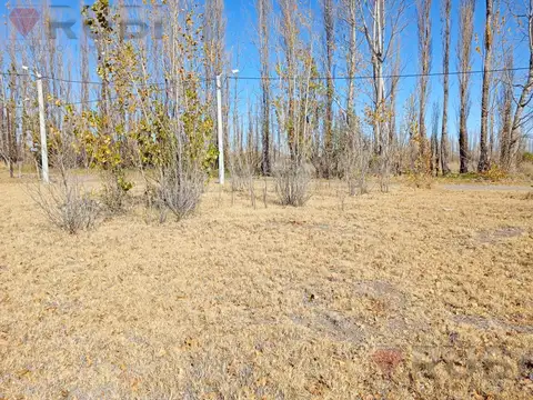 Terreno en Venta 13  mts Frente