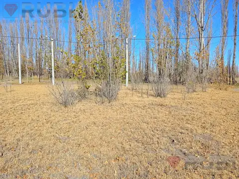 Terreno en Venta de 300,0 m2