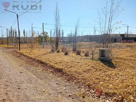 TERRENO EN VENTA EN LOS FRUTALES NEUQUÉN