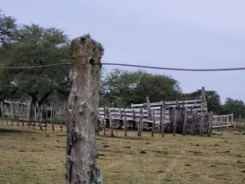 Campo 410 hectáreas ganaderas Sauce Corrientes