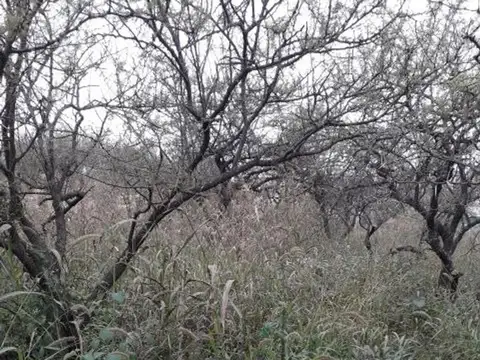 Lote de 1.000 m2 en sierras de Córdoba - La Bolsa