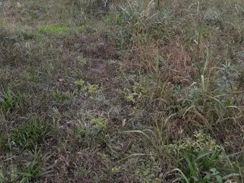 Lote de 1.000 m2 en sierras de Córdoba - La Bolsa