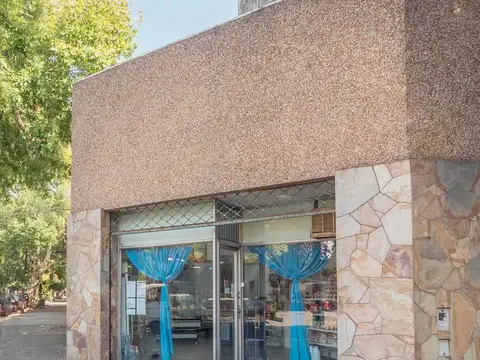 Local en Venta en Luis Agote, USD 125.000