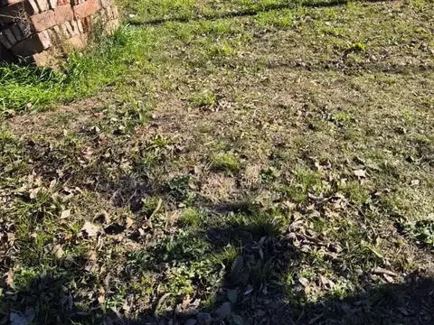 Saavedra 1000