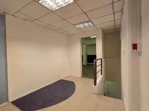 FRONDIZI 100