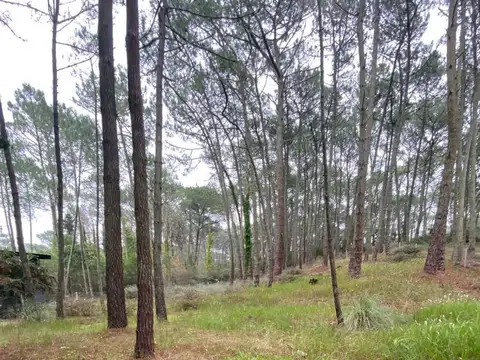 Terreno en Venta 26,05  mts Frente