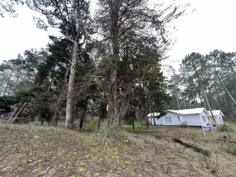 Terreno en Venta en Carilo, USD 150.000