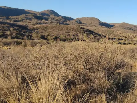 Terreno en Venta de 802,0 m2
