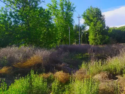 Terreno en Venta de 750,0 m2