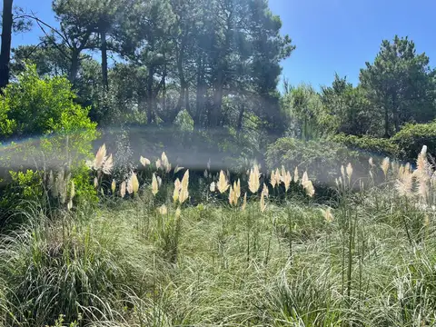 Terreno en Venta 15  mts Frente