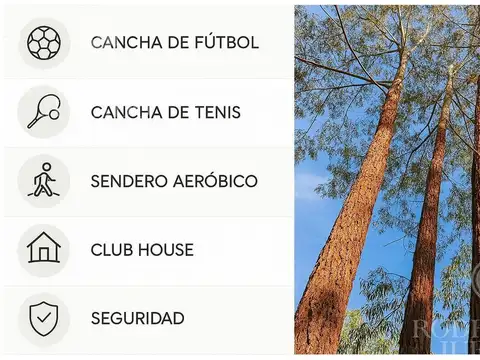 Chacabuco 600