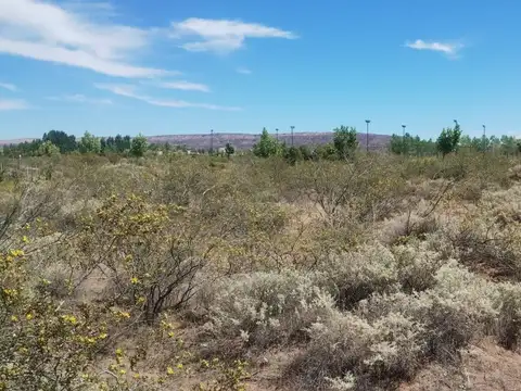 VENTA LOTE CHOCON MEDIO ETAPA MEDANOS