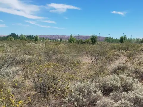 Chocon Medio, Manzana C, Lote 10