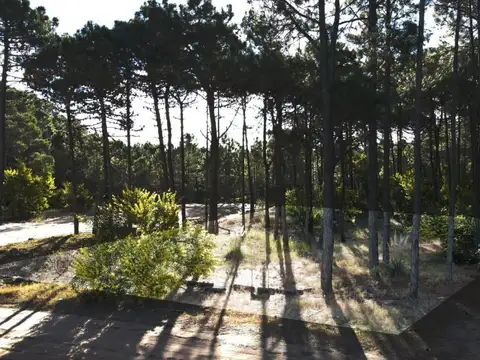 Terreno en Venta en Pinamar Norte, USD 98.000