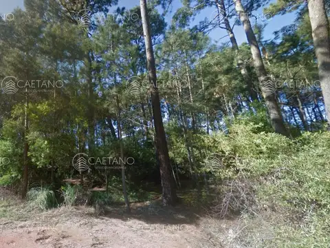 OPORTUNIDAD PARA DESARROLLO - BURNET