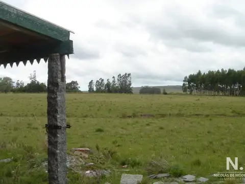 Terreno en Venta de 27000,0 m2