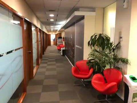 Oficina en alquiler en Catalinas con 3 cocheras / 395 m2 - C