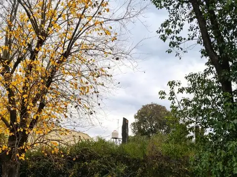 Quinta en Alquiler Temporal 20 años