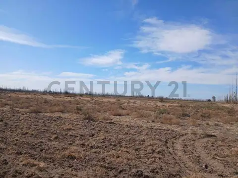 norzagaray y romero , Piso 0