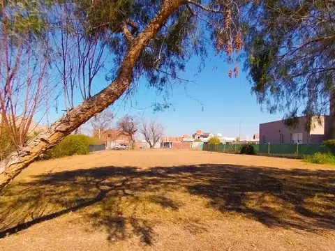 Terreno en Venta de 1000,0 m2