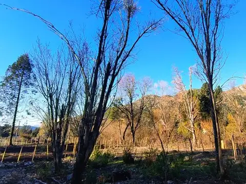 Terreno en Venta de 450,0 m2