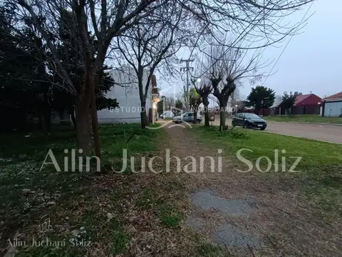 Av.Pueyrredon  al 600