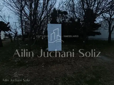 Av.Pueyrredon  al 600