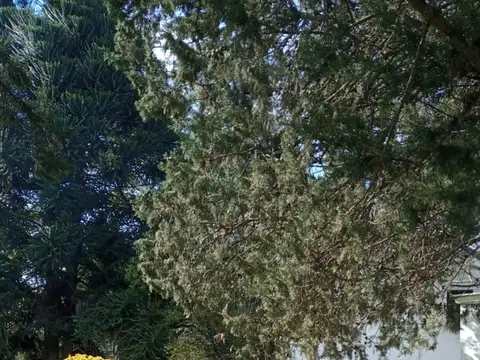 Casa multifamiliar en venta pilar