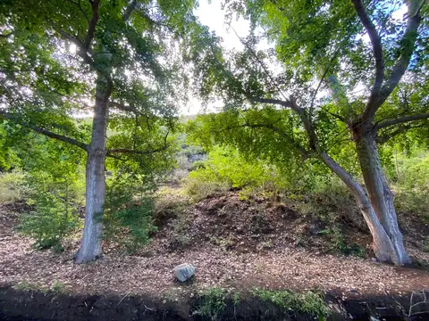 Terreno en Venta en Potrerillos, USD 8.000