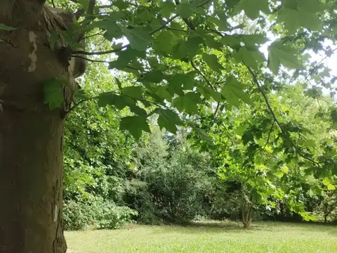 CASA QUINTA EN VENTA EN LA PLATA