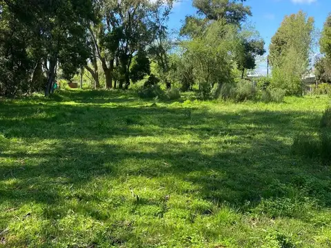 Venta de lote en Ignacio Correas