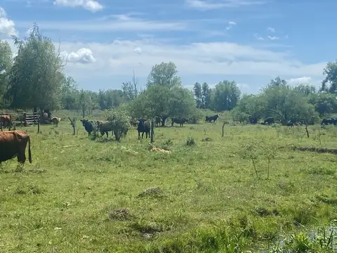 Terreno Emp. Rural  en Venta en Islas de Zarate, Zárate, G.B.A. Zona Norte