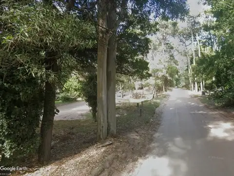 Divisadero e/ Hornero y Gallareta