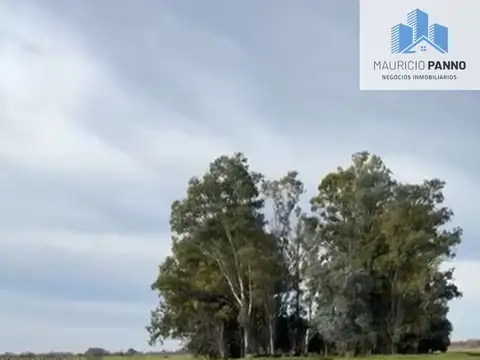 Ruta Ruta 100