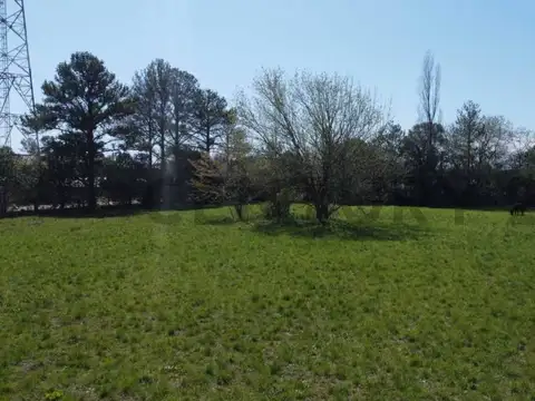 Terreno en Venta de 10000,0 m2