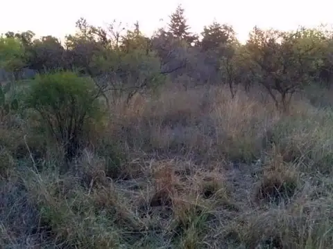 Terreno en Venta de 760,0 m2