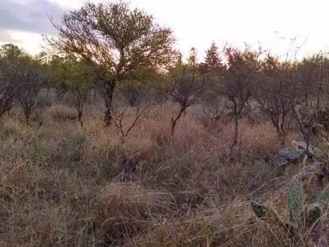 Terreno en Venta 43,40  mts Fondo