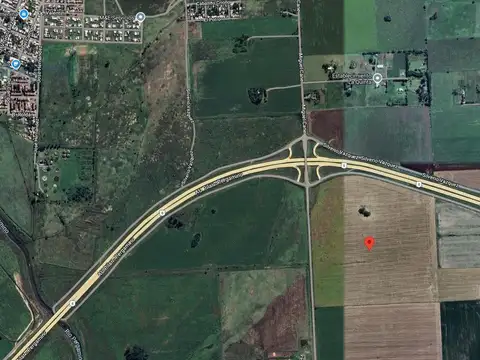40 Has. en Cané y Autopista 8 (Nuevo ingreso),  Pergamino, Bs. As.