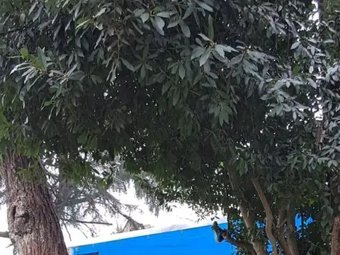 VENTA  DE LOTE. 3 HECTAREAS