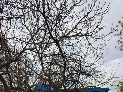 Terreno en Venta en Cuartel V, USD 166.000