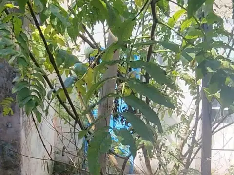 Casa en venta - 3 Dormitorios 1 Baño - 326Mts2 - Nueva Pompeya