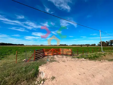 Venta / Oportunidad “El Refugio” Barrio de Chacras de 1 Hectárea en Altamira – Tomas Jofré