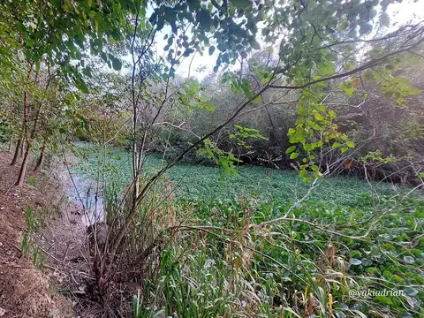 Venta lote, 800 m2, con acceso al río Luján