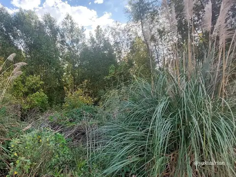 Terreno en Venta de 800,0 m2