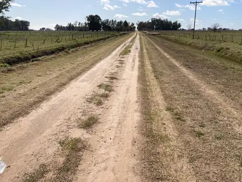 Campo - Las Flores